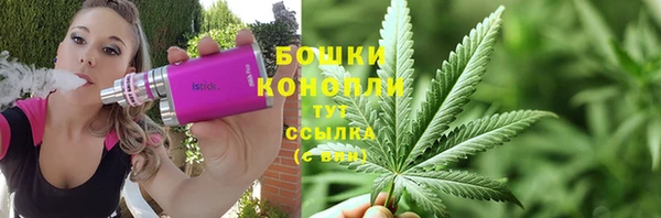 мдпв Дегтярск