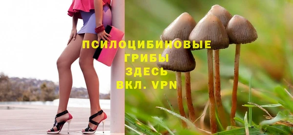 дурь Строитель