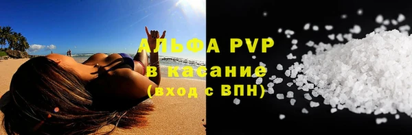 прущие грибы Сосновка