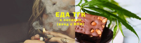 стафф Корсаков