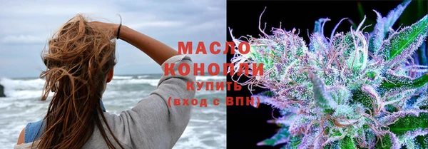 индика Богородицк