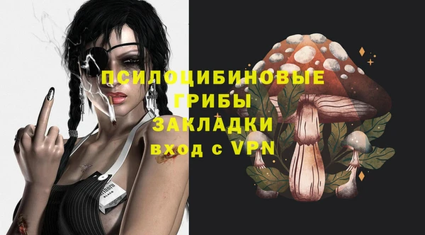 первитин Струнино